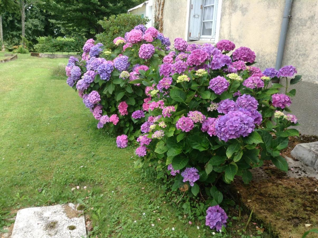 Chateau De Benac Bed & Breakfast Eksteriør bilde